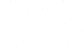 GA 21 Stainless Steel Tip 0.25"